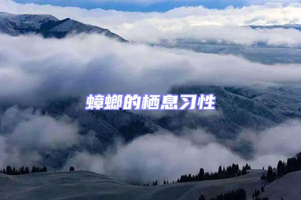 蟑螂的栖息习性