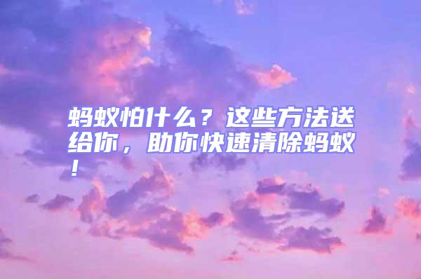 蚂蚁怕什么？这些方法送给你，助你快速清除蚂蚁！