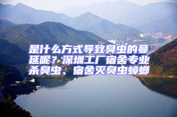 是什么方式导致臭虫的蔓延呢？深圳工厂宿舍专业杀臭虫、宿舍灭臭虫蟑螂