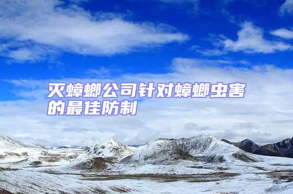 灭蟑螂公司针对蟑螂虫害的最佳防制