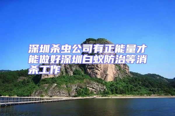 深圳杀虫公司有正能量才能做好深圳白蚁防治等消杀工作