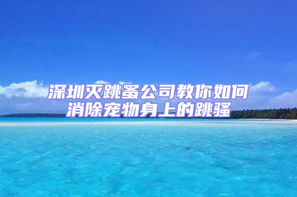 深圳灭跳蚤公司教你如何消除宠物身上的跳骚