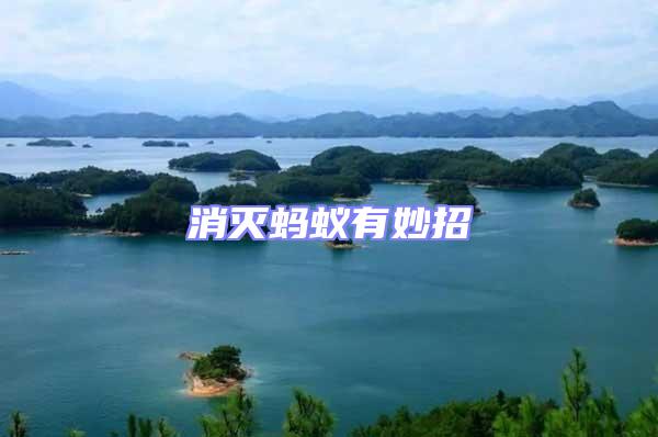消灭蚂蚁有妙招