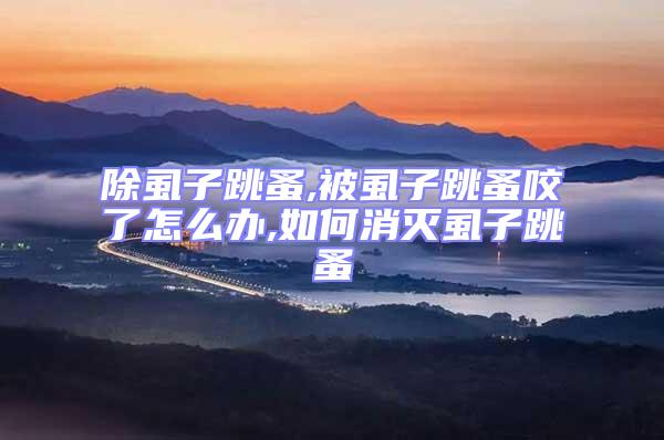 除虱子跳蚤,被虱子跳蚤咬了怎么办,如何消灭虱子跳蚤