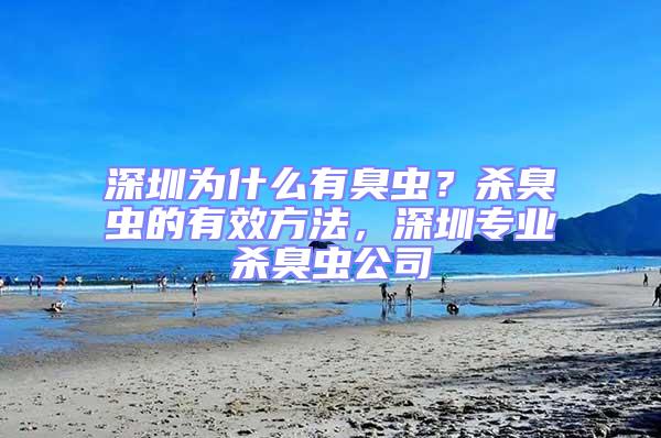 深圳为什么有臭虫？杀臭虫的有效方法，深圳专业杀臭虫公司