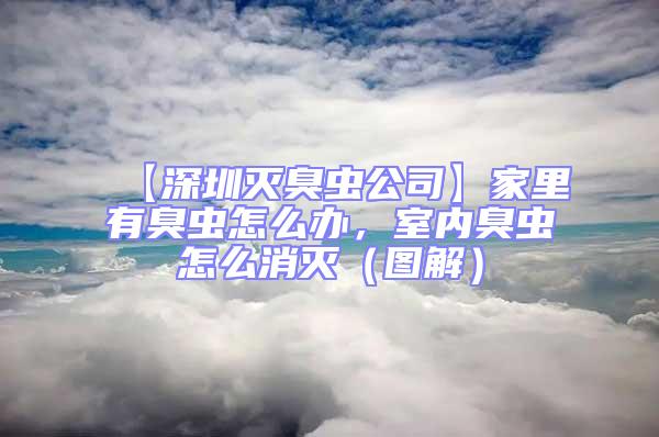 【深圳灭臭虫公司】家里有臭虫怎么办，室内臭虫怎么消灭（图解）