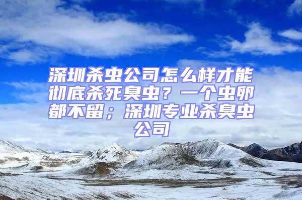 深圳杀虫公司怎么样才能彻底杀死臭虫？一个虫卵都不留；深圳专业杀臭虫公司