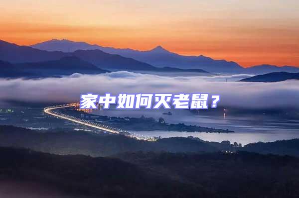 家中如何灭老鼠？