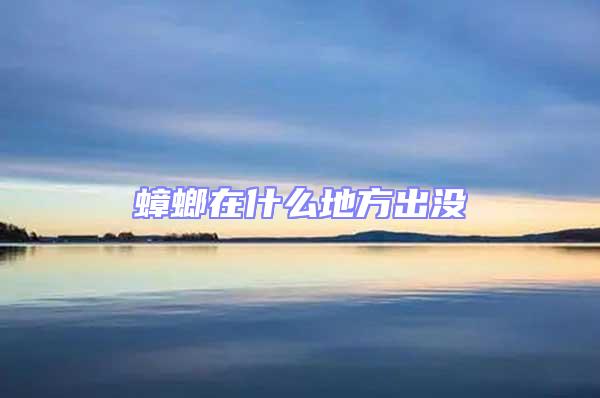 蟑螂在什么地方出没