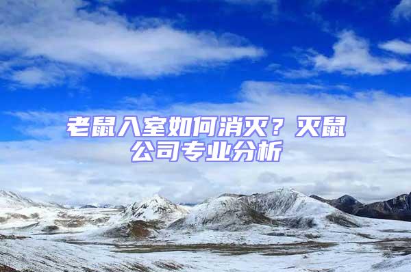 老鼠入室如何消灭？灭鼠公司专业分析