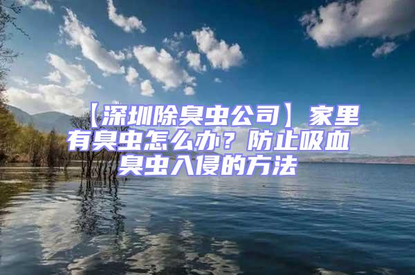 【深圳除臭虫公司】家里有臭虫怎么办？防止吸血臭虫入侵的方法