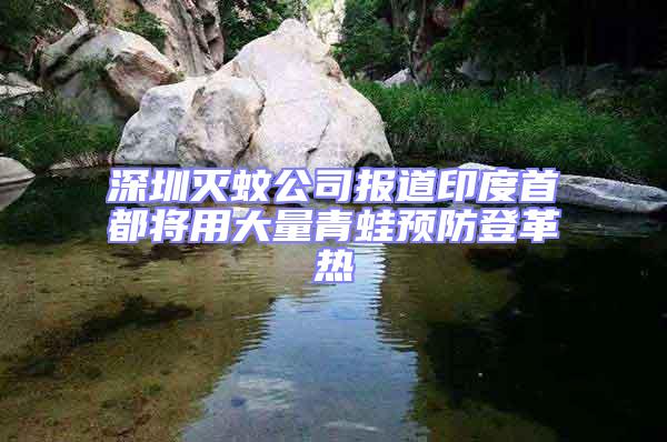 深圳灭蚊公司报道印度首都将用大量青蛙预防登革热