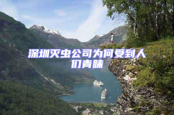 深圳灭虫公司为何受到人们青睐
