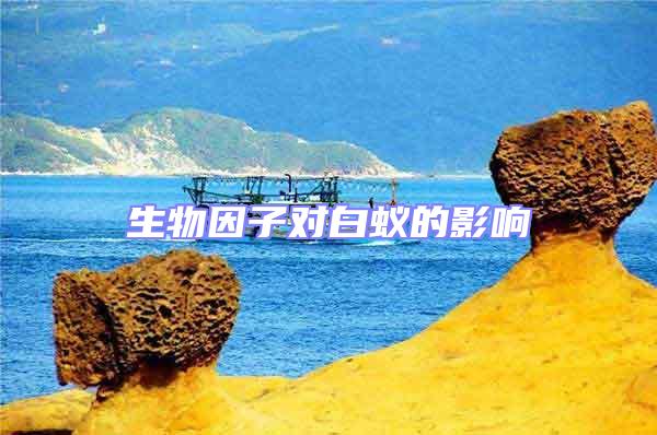 生物因子对白蚁的影响