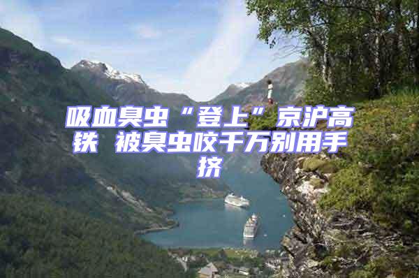 吸血臭虫“登上”京沪高铁 被臭虫咬千万别用手挤