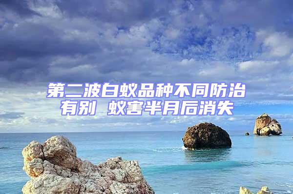 第二波白蚁品种不同防治有别 蚁害半月后消失