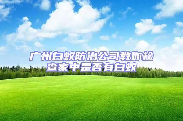 广州白蚁防治公司教你检查家中是否有白蚁