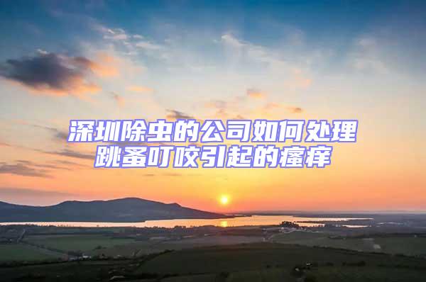 深圳除虫的公司如何处理跳蚤叮咬引起的瘙痒