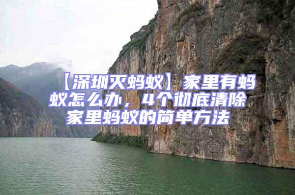 【深圳灭蚂蚁】家里有蚂蚁怎么办，4个彻底清除家里蚂蚁的简单方法