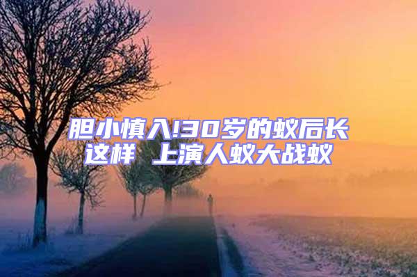 胆小慎入!30岁的蚁后长这样 上演人蚁大战蚁