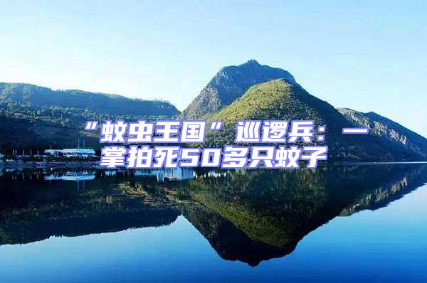“蚊虫王国”巡逻兵：一掌拍死50多只蚊子