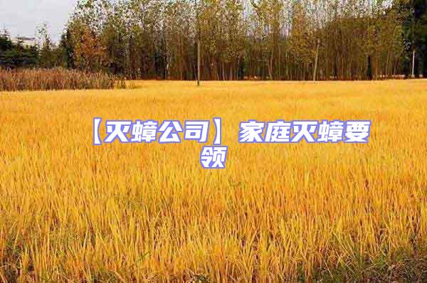 【灭蟑公司】家庭灭蟑要领