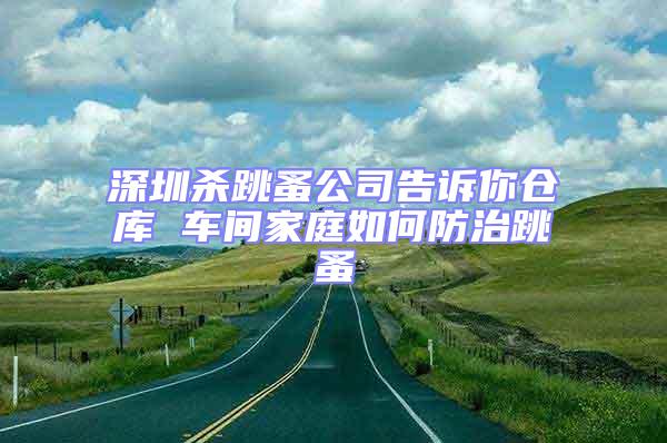 深圳杀跳蚤公司告诉你仓库 车间家庭如何防治跳蚤