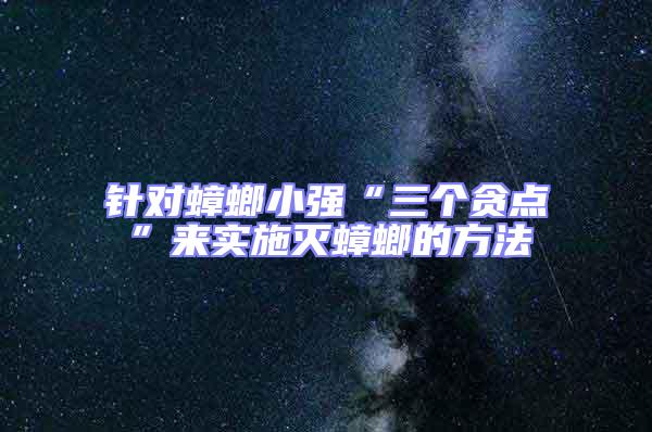 针对蟑螂小强“三个贪点”来实施灭蟑螂的方法