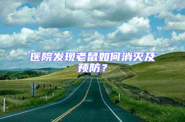 医院发现老鼠如何消灭及预防？