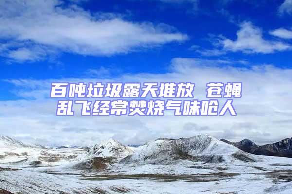 百吨垃圾露天堆放 苍蝇乱飞经常焚烧气味呛人