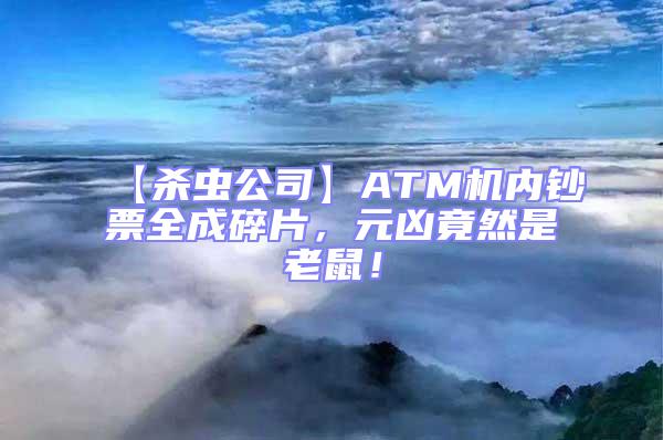 【杀虫公司】ATM机内钞票全成碎片，元凶竟然是老鼠！