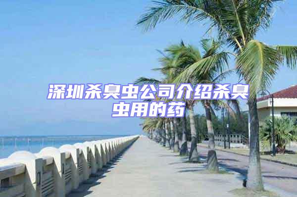 深圳杀臭虫公司介绍杀臭虫用的药