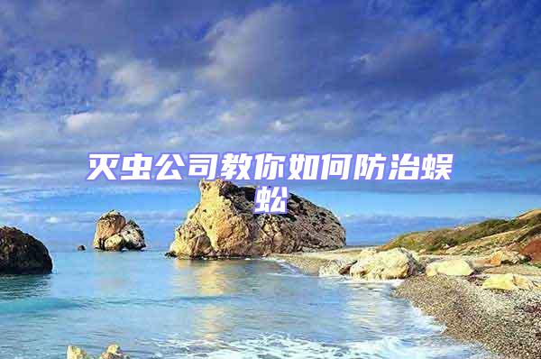 灭虫公司教你如何防治蜈蚣