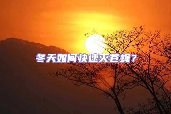冬天如何快速灭苍蝇？