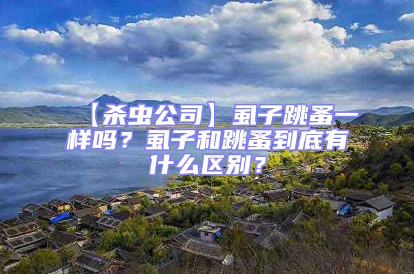 【杀虫公司】虱子跳蚤一样吗？虱子和跳蚤到底有什么区别？