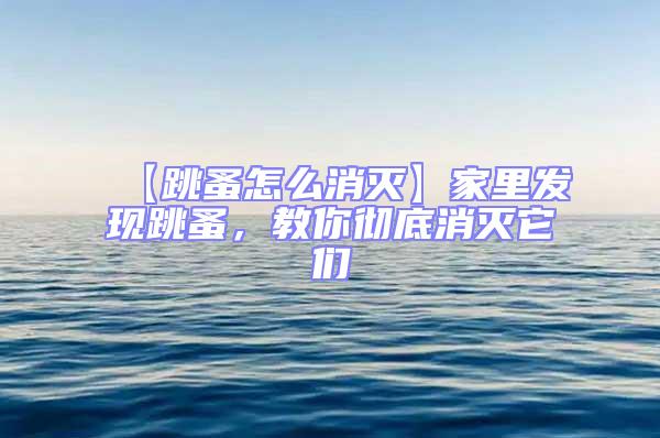 【跳蚤怎么消灭】家里发现跳蚤，教你彻底消灭它们