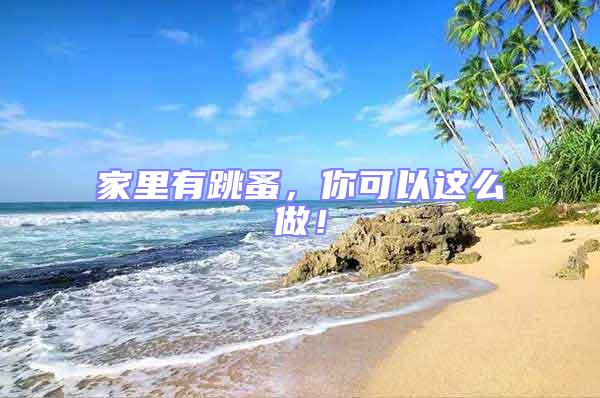 家里有跳蚤，你可以这么做！