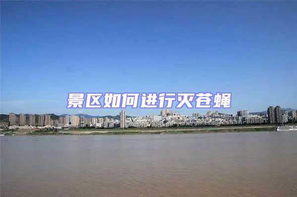 景区如何进行灭苍蝇