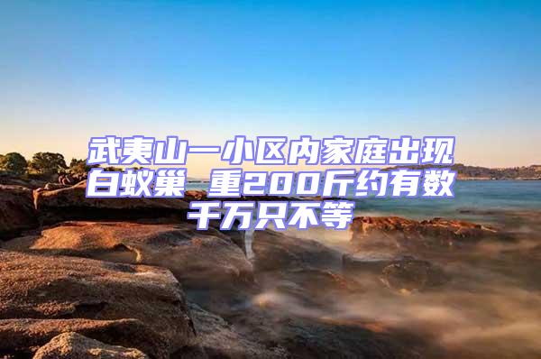 武夷山一小区内家庭出现白蚁巢 重200斤约有数千万只不等