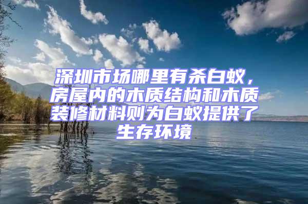 深圳市场哪里有杀白蚁，房屋内的木质结构和木质装修材料则为白蚁提供了生存环境