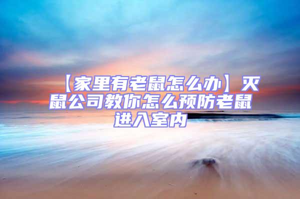 【家里有老鼠怎么办】灭鼠公司教你怎么预防老鼠进入室内