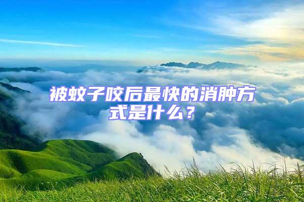 被蚊子咬后最快的消肿方式是什么？