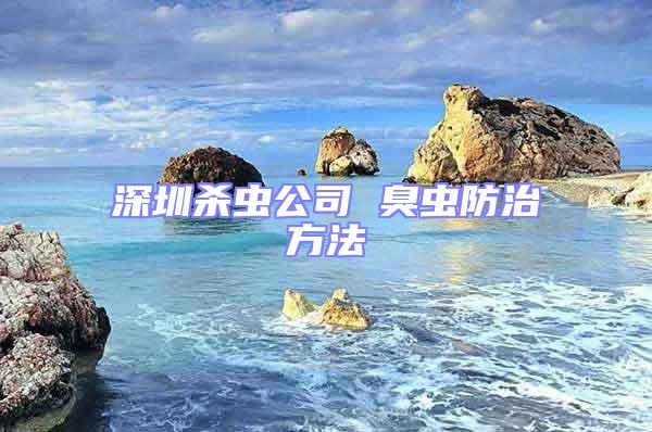 深圳杀虫公司 臭虫防治方法