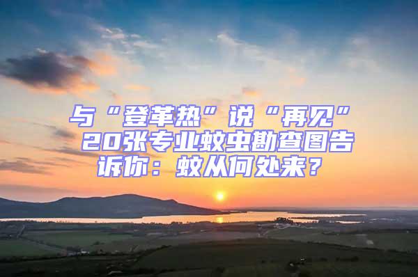 与“登革热”说“再见” 20张专业蚊虫勘查图告诉你：蚊从何处来？