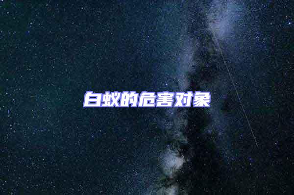 白蚁的危害对象