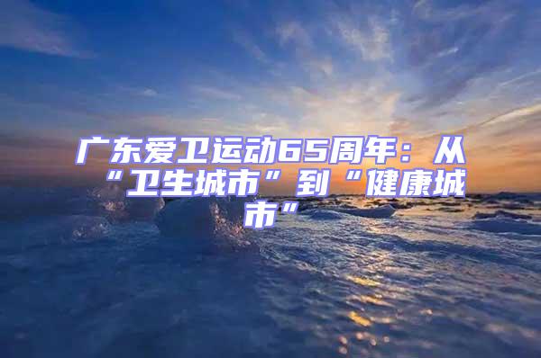 广东爱卫运动65周年：从“卫生城市”到“健康城市”