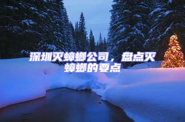 深圳灭蟑螂公司，盘点灭蟑螂的要点