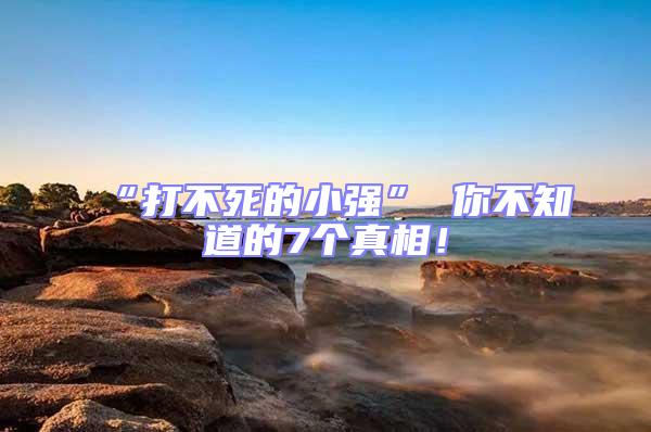 “打不死的小强” 你不知道的7个真相！