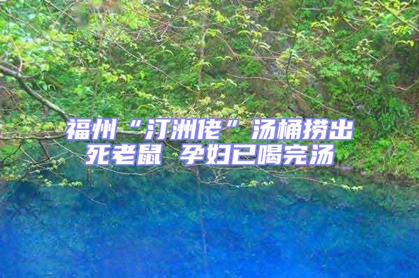 福州“汀洲佬”汤桶捞出死老鼠 孕妇已喝完汤