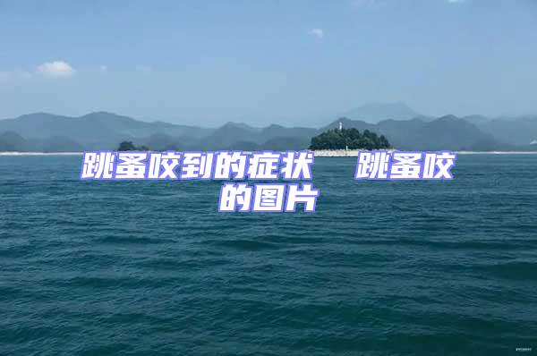 跳蚤咬到的症状  跳蚤咬的图片